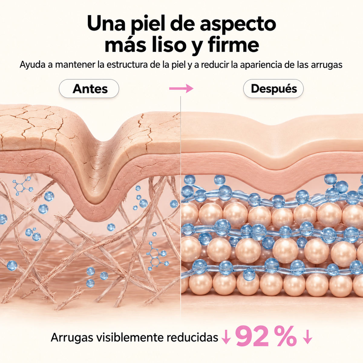Schéma scientifique — élasticité de la peau